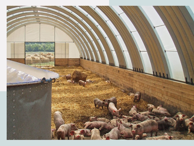 Строительство свинарников в Баксане